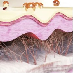 Level 4 Certificate in Aesthetic Practice Core Knowledge and Advanced Skin Science (RQF)