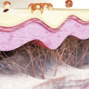 Level 4 Certificate in Aesthetic Practice Core Knowledge and Advanced Skin Science (RQF)